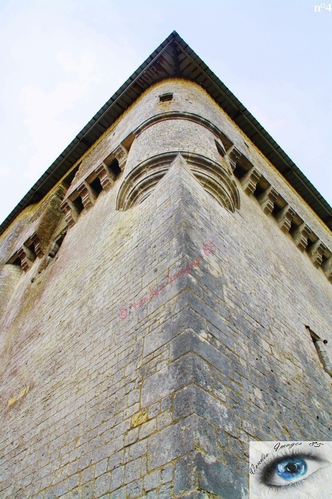 4_ Vendée images 85