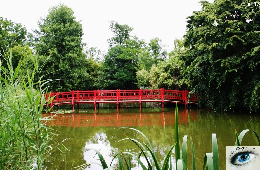 Reportage photographique au Parc Floral de la Court d'Aron à Saint-Cyr-en-Talmondais en Vendée
