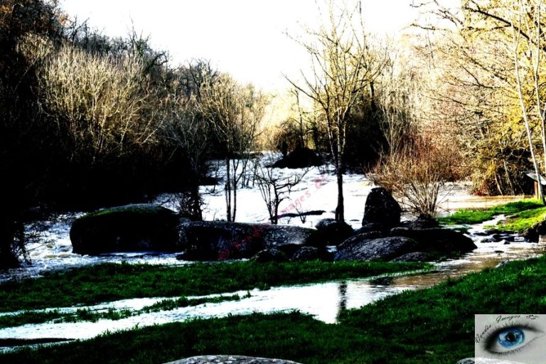 18_ Vendée images 85