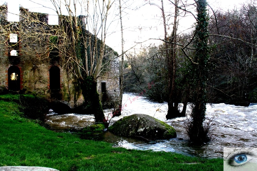 Photographie du site naturel du Piquet au Tablier, dans la vallée du Yon