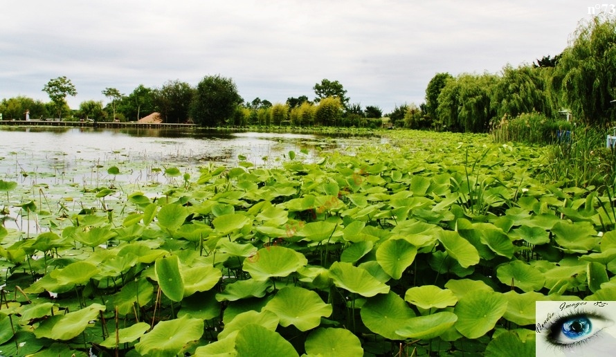 73_ Vendée images 85